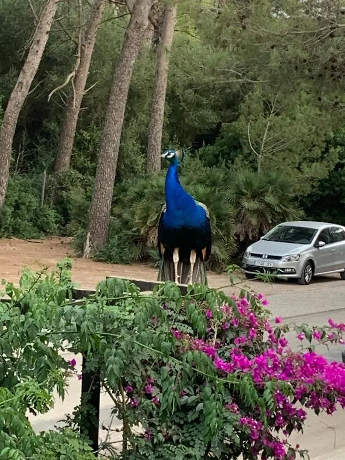 فيلا Casa Lisboa كالا ميسكويدا بيت للعطل
